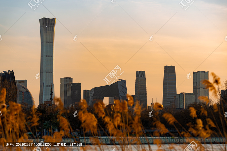 夕阳里的芦苇荡与国贸