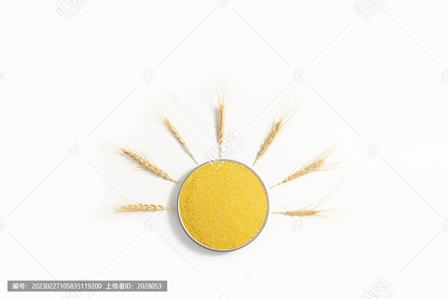 小米粮食太阳造型图片