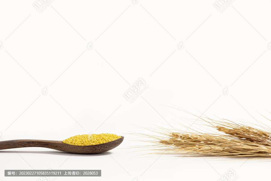 小米粗粮麦穗图片