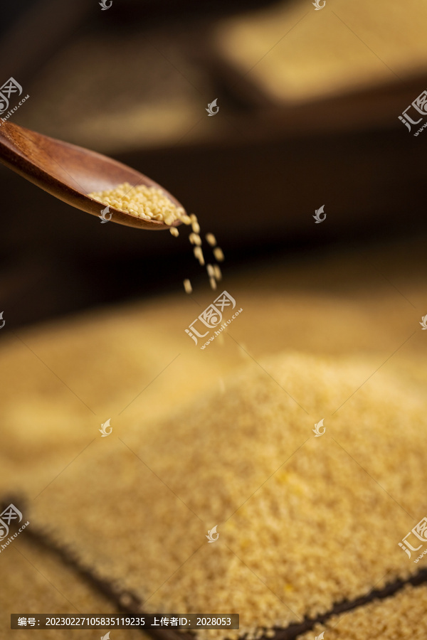 粮食小米暗调风格图片
