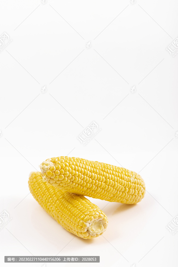 两根玉米白色底图免扣图