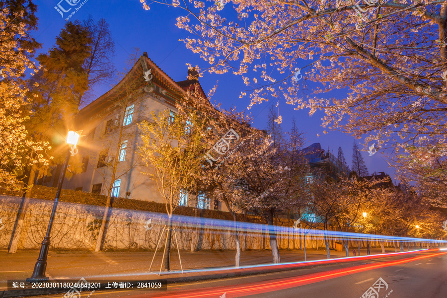 中国南京樱花古建筑夜景