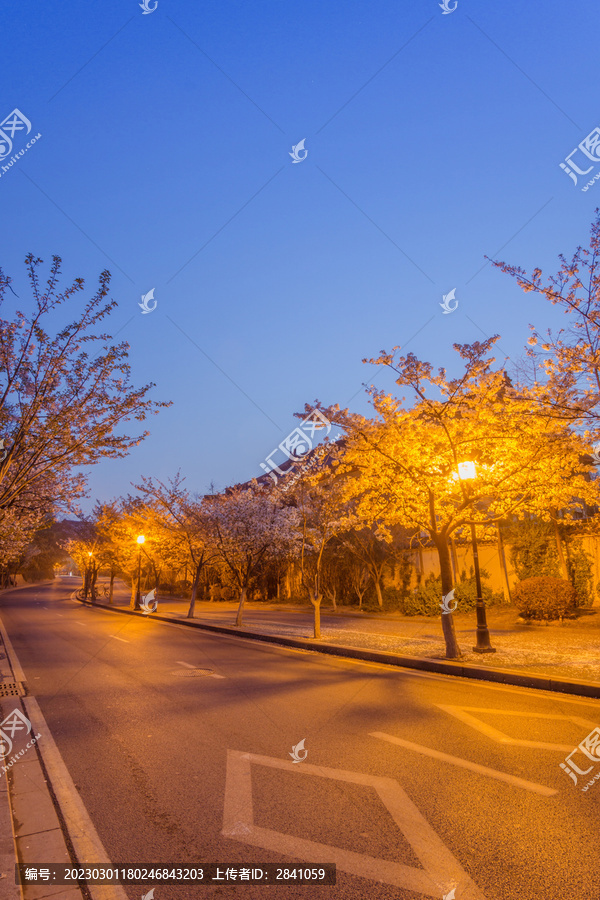 中国南京樱花古建筑夜景