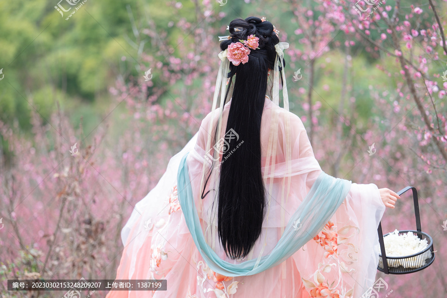 梅林花开古风人像汉服梅花飘逸