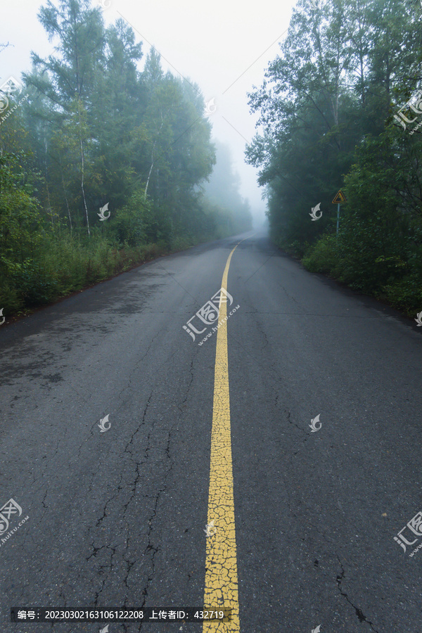 清晨大雾森林公路