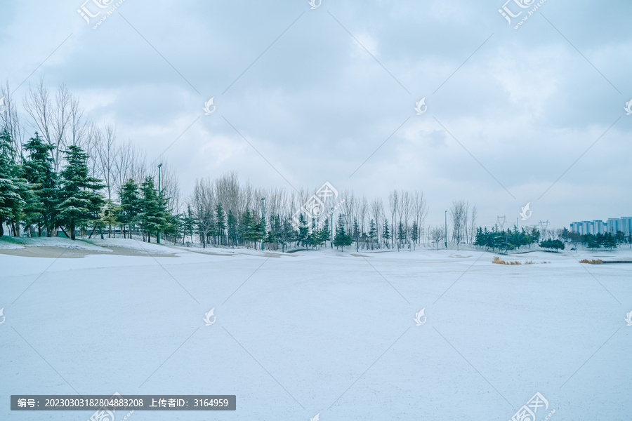 高尔夫球场雪景