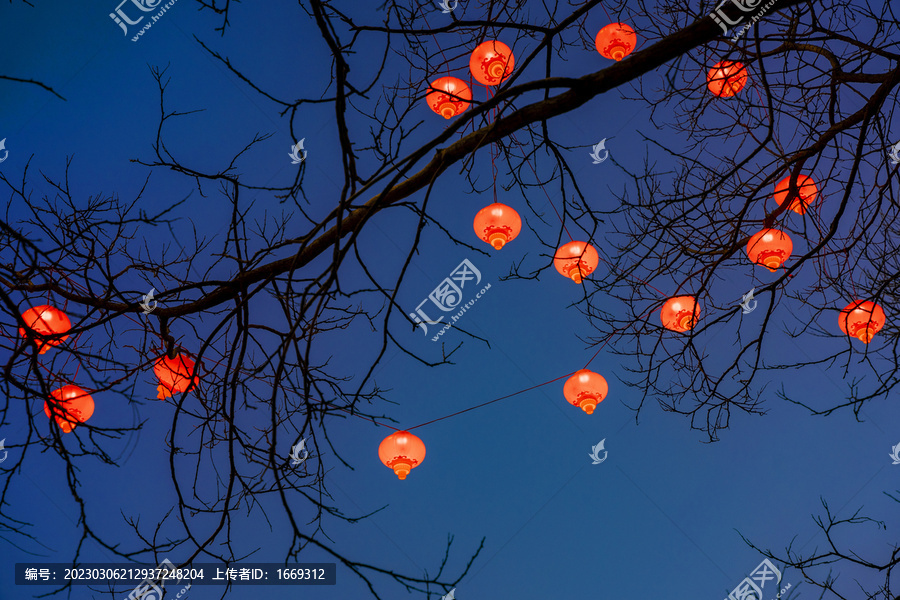 沈阳街头树枝上悬挂的红灯笼