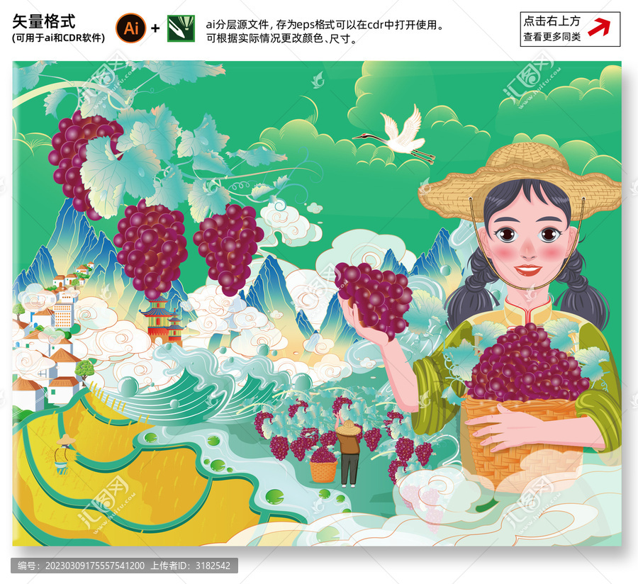 农家女孩采葡萄插画