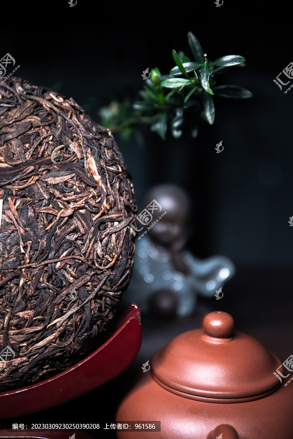 普洱茶饼与泡茶