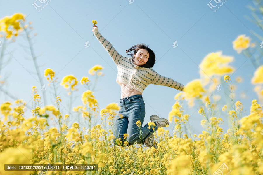 油菜花海里的女子