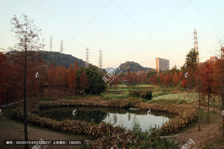 广州大观湿地公园