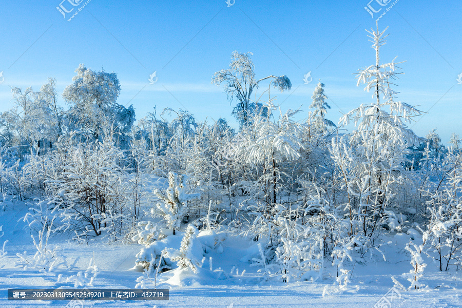 大雪原始森林雾凇