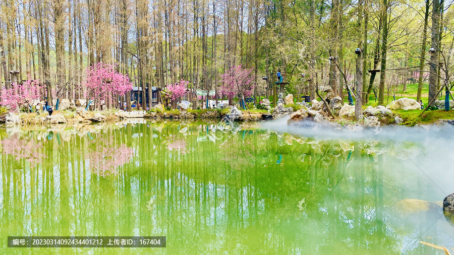 水雾樱花园