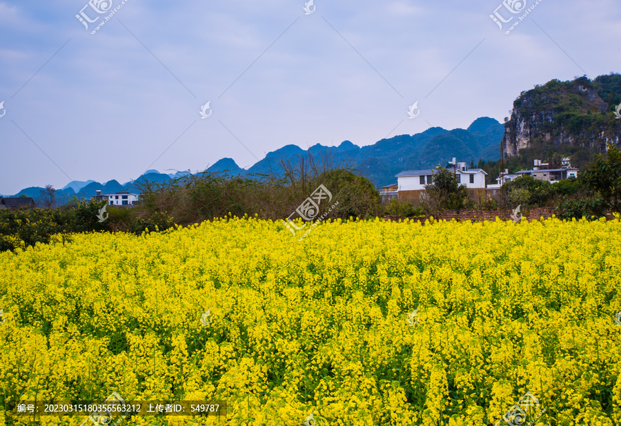 贵州小山村