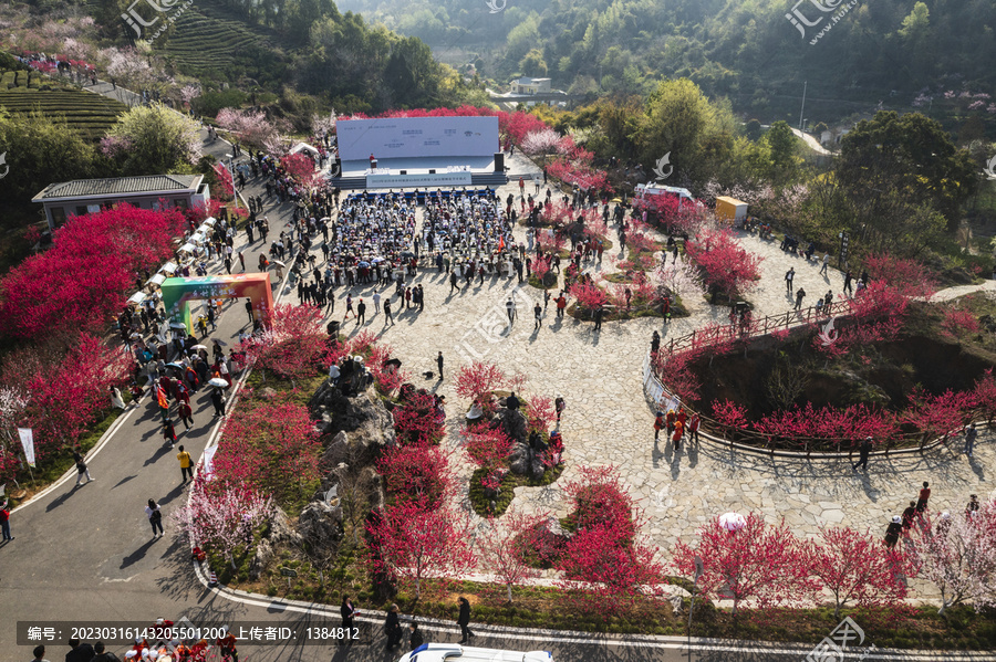 宜都市桃花节现场