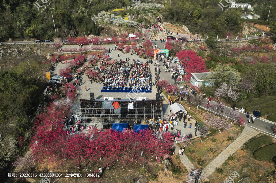 宜都市桃花节现场