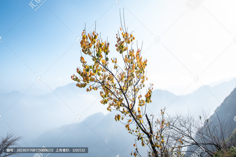 嘉午台秋景