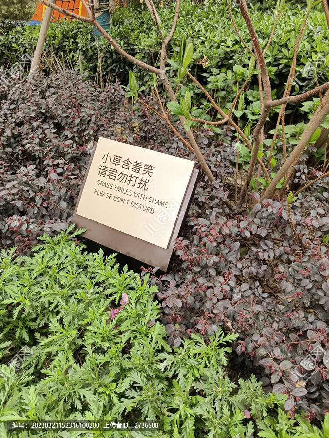 小草指示牌