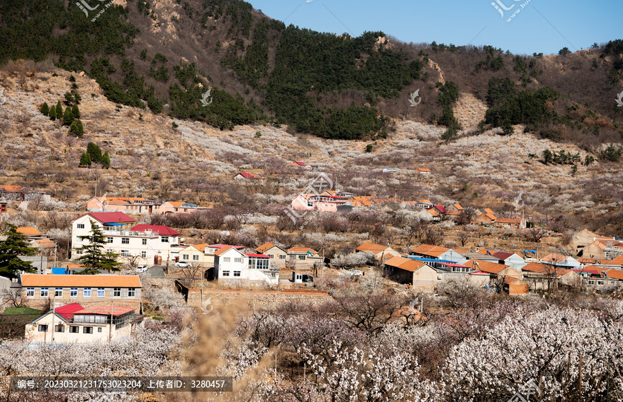 春风吹过小山村