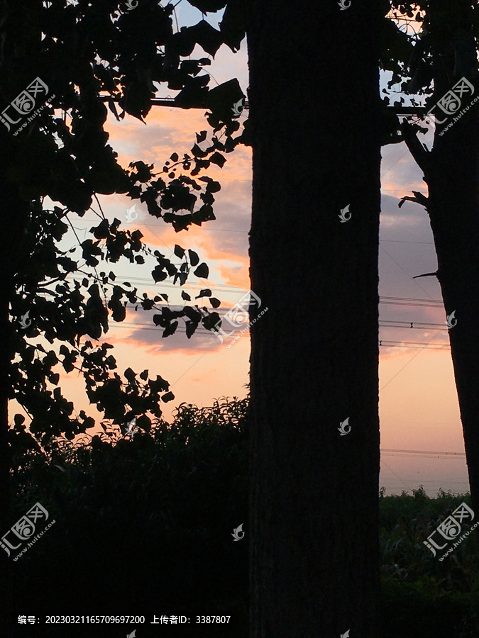 手机背景图夏天的傍晚