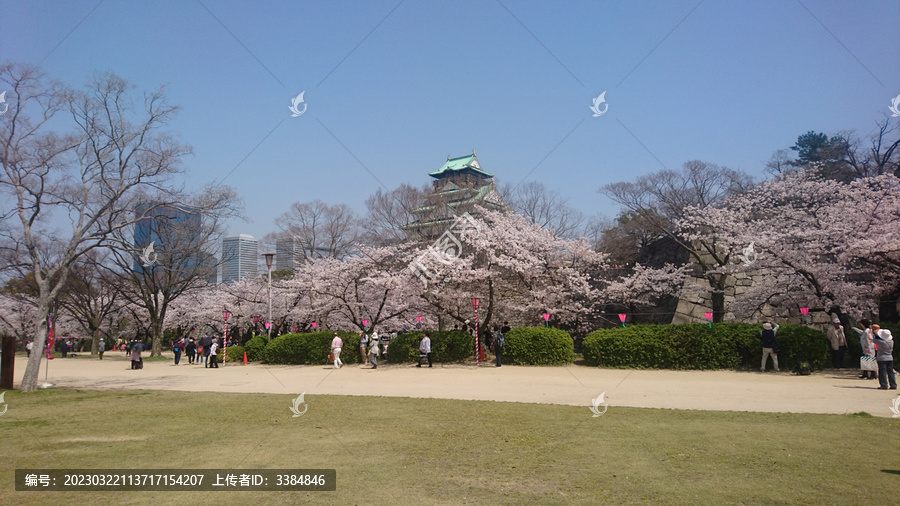 日本大阪城公园