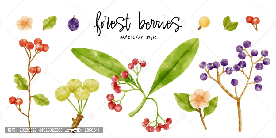 手绘植物花卉水彩花插画矢量图