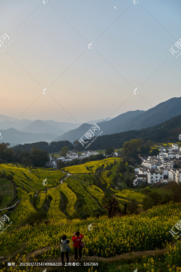 江西省上饶市婺源江岭风景区