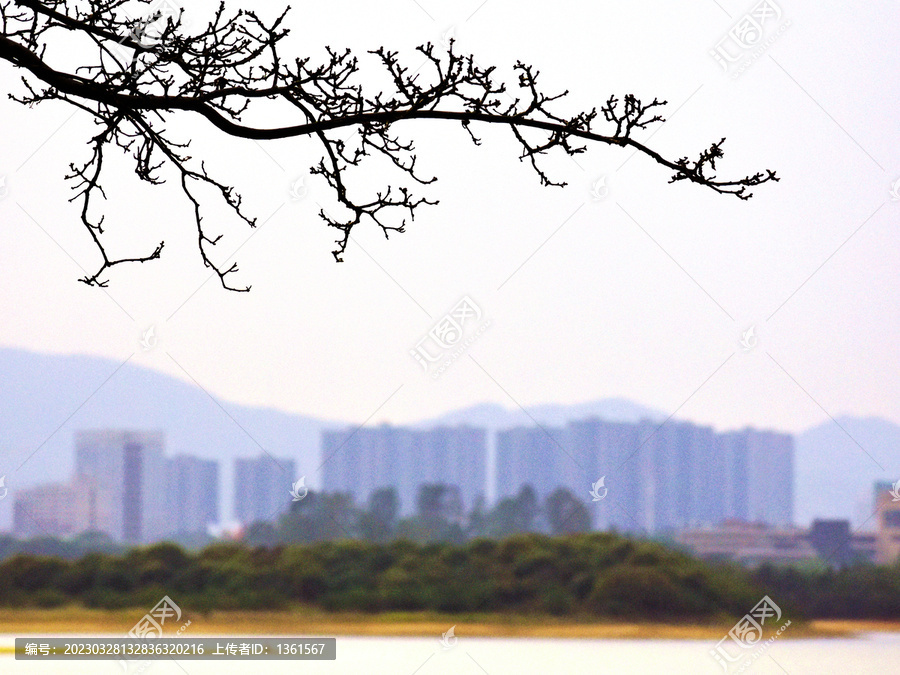 城市风景