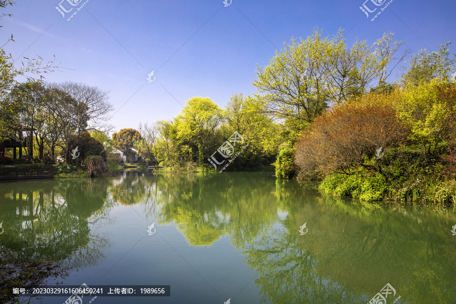 树林河边背景