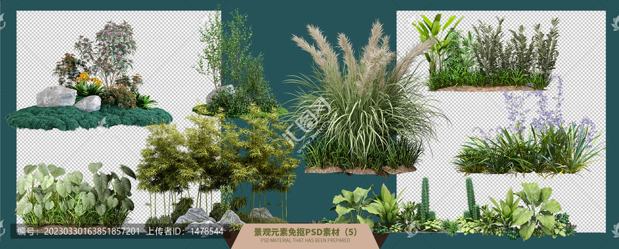 8种绿色草本植物园林景观