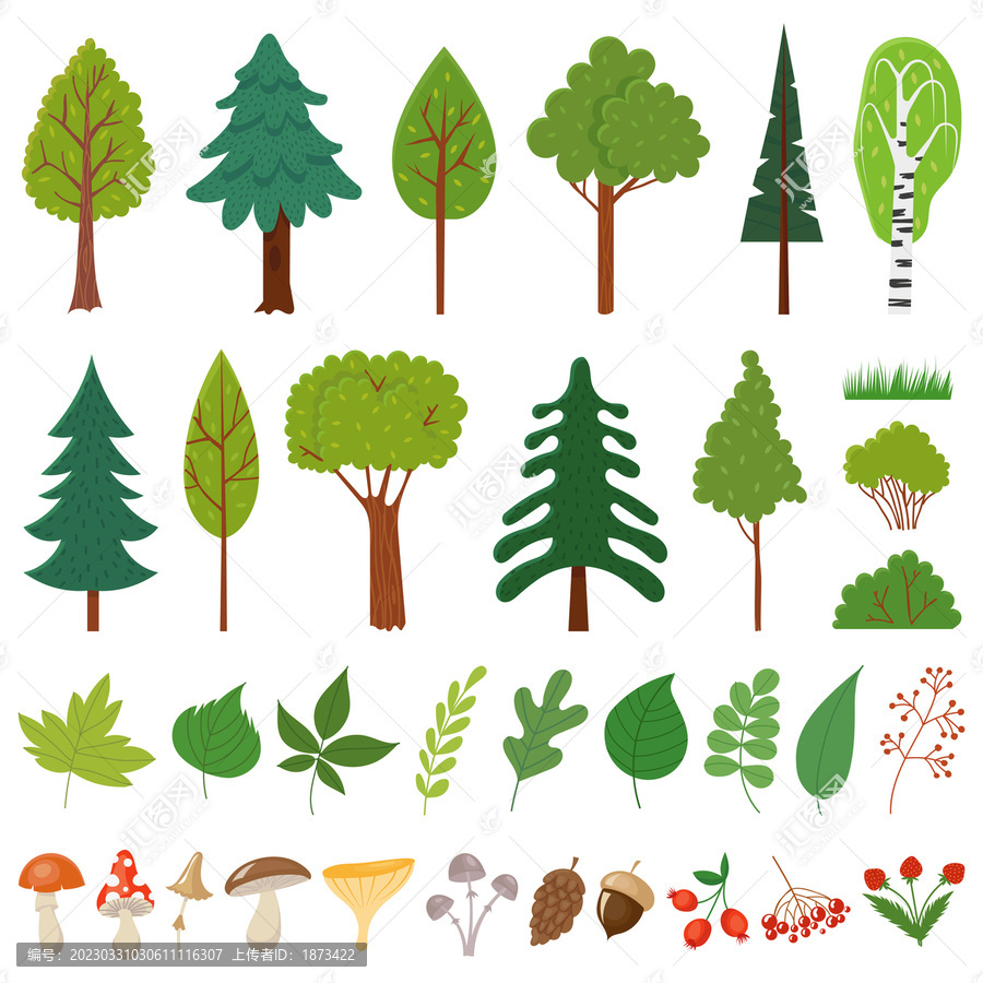 自然森林树叶果实矢量插画素材