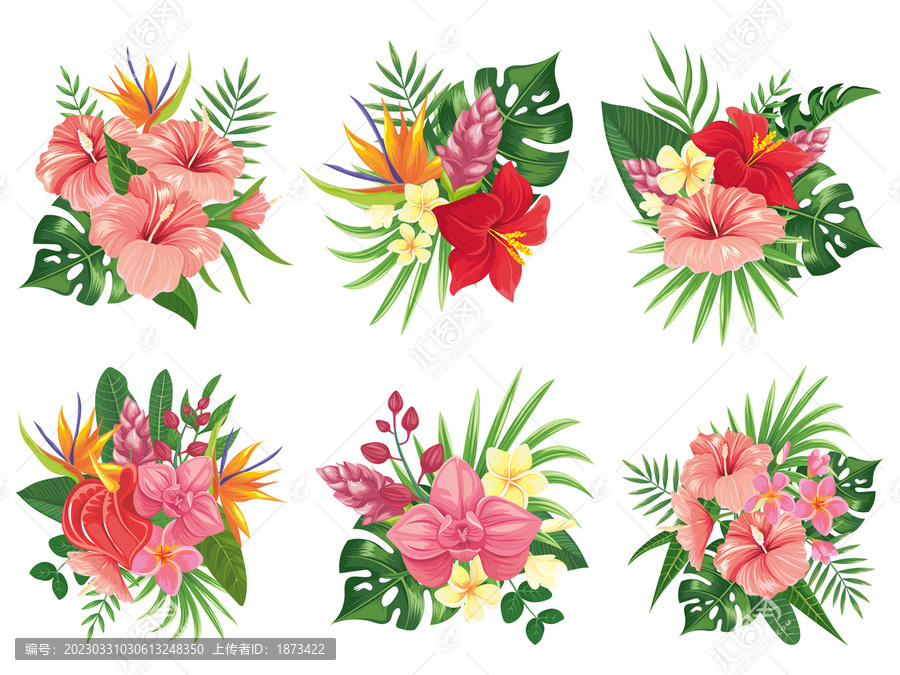 夏季热带花卉植物矢量插图素材