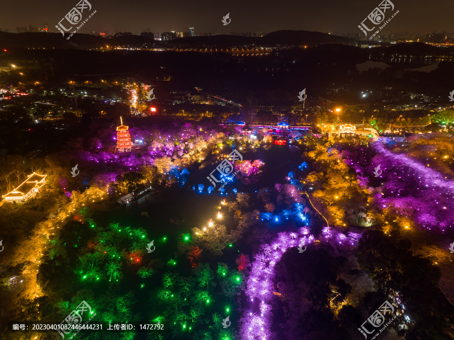 武汉东湖磨山樱花园夜景风光