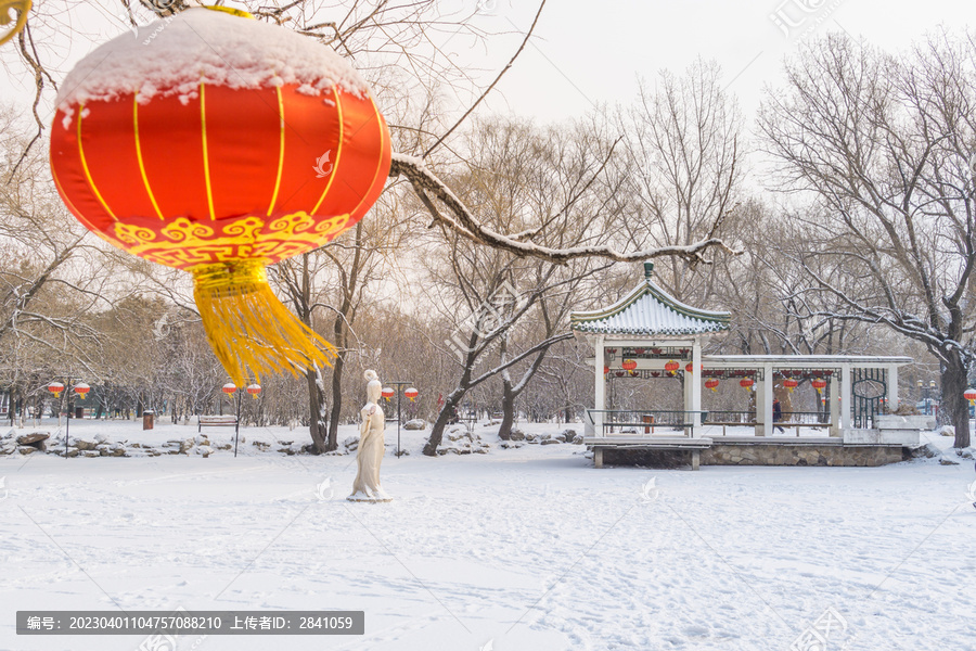 雪后沈阳北陵公园里的红灯笼