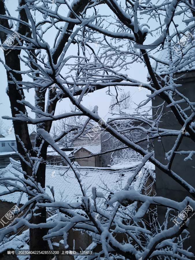 瑞雪兆丰年