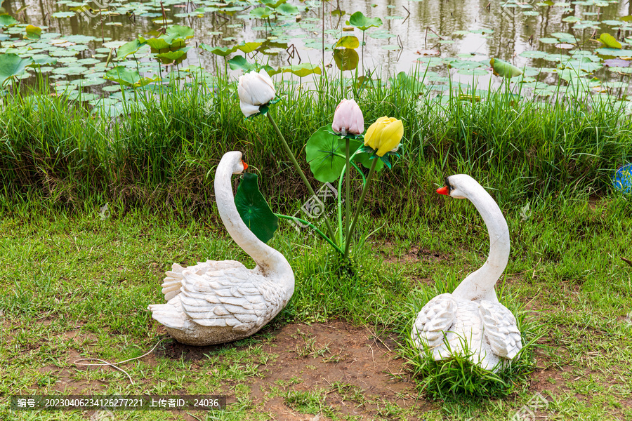 白石湖公园天鹅雕塑