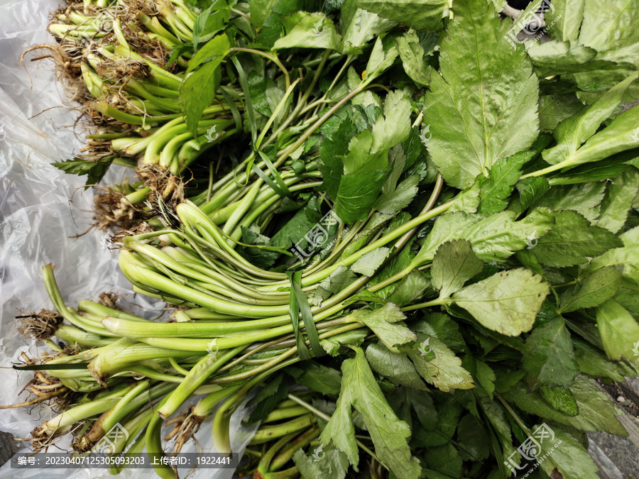 鸭脚板野菜