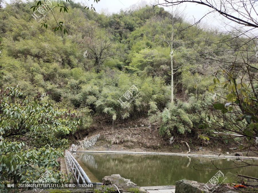 远山与游泳池