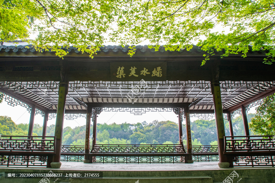 西湖绿水芙蕖古亭