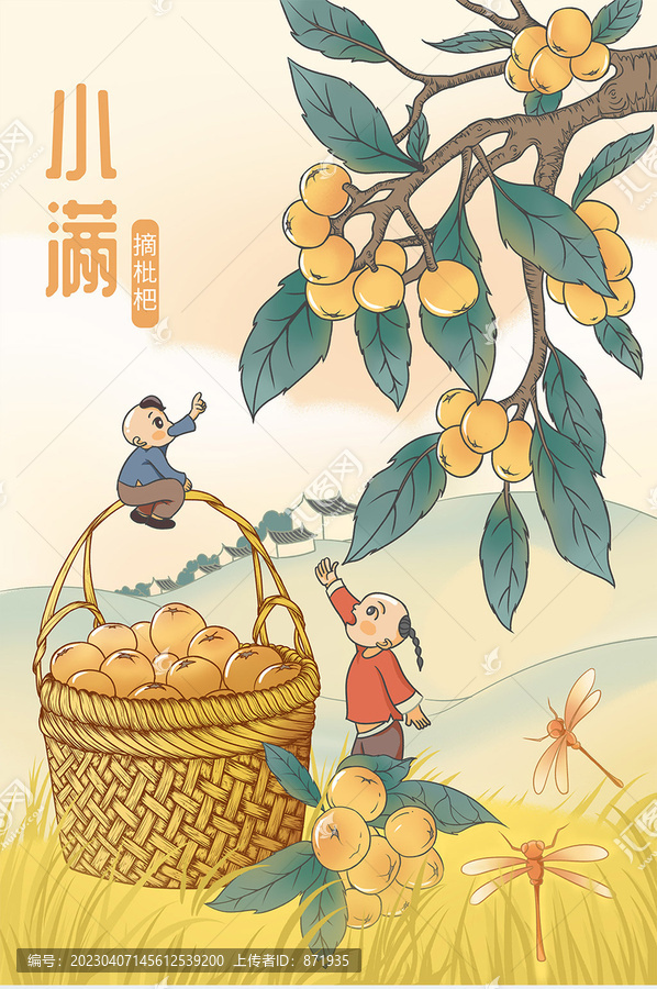 小孩摘枇杷小满节气插画海报