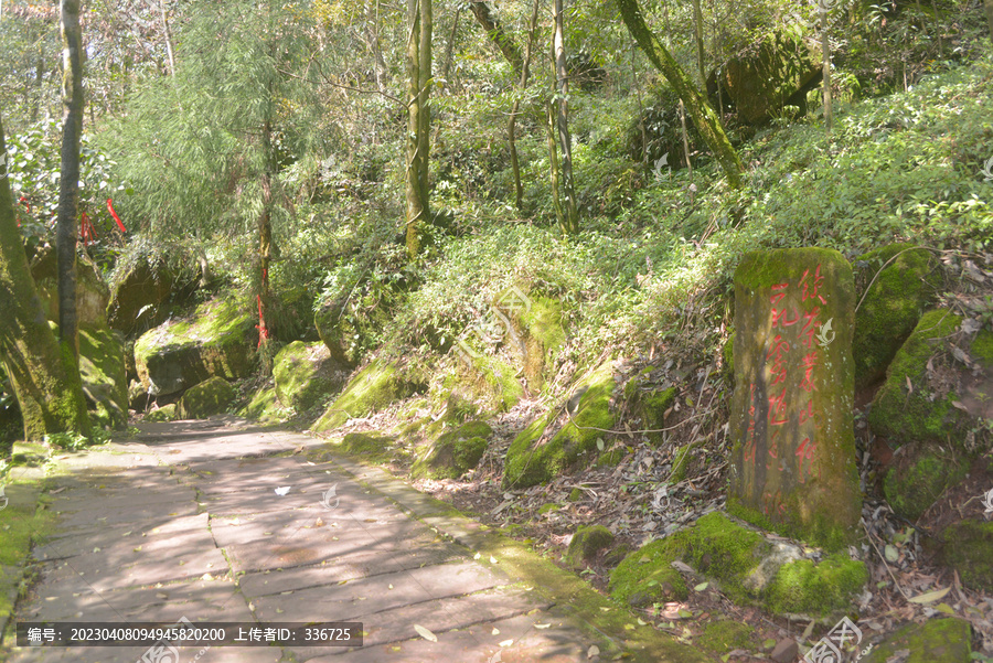 四川蒙顶山登山道茶文化石碑