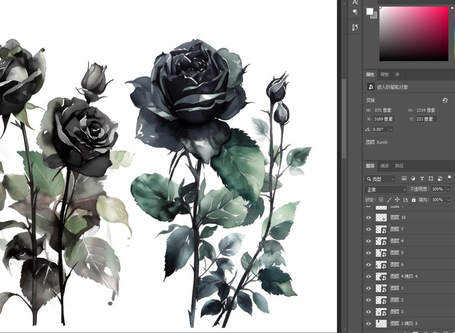 黑玫瑰植物插画设计素材
