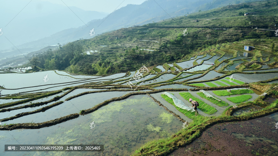 红河撒马坝梯田