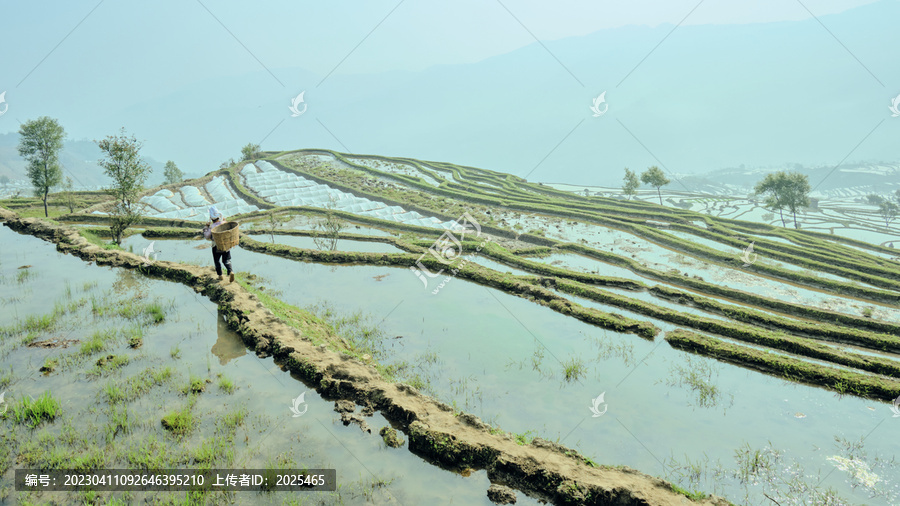 红河撒马坝梯田