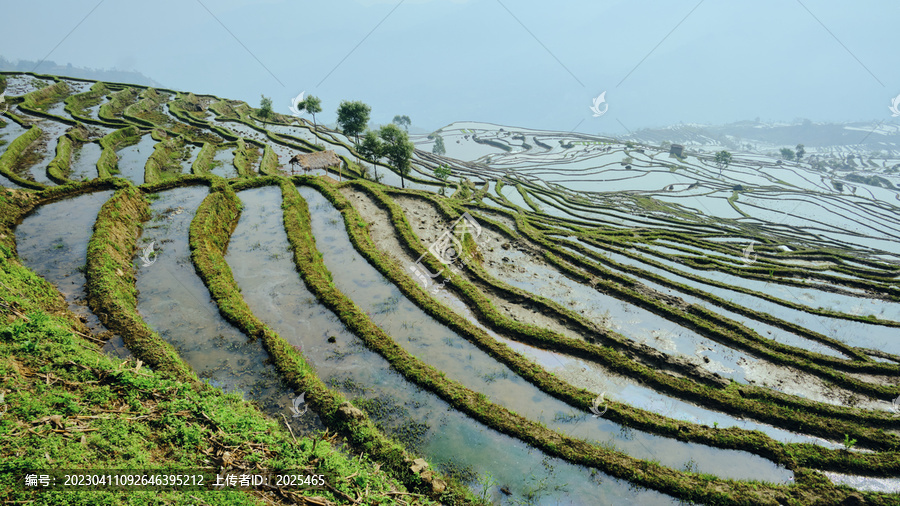 红河撒马坝梯田