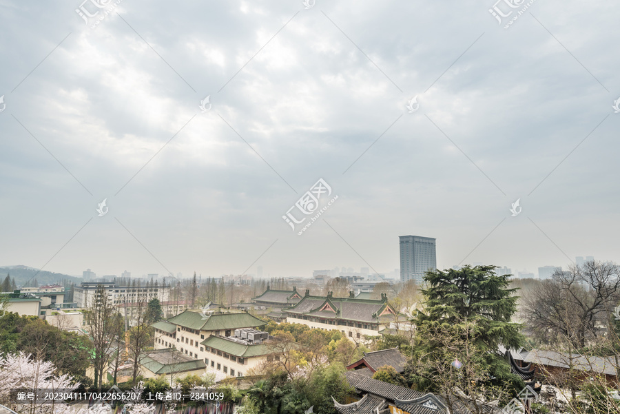 樱花季的南京明长城和鸡鸣寺