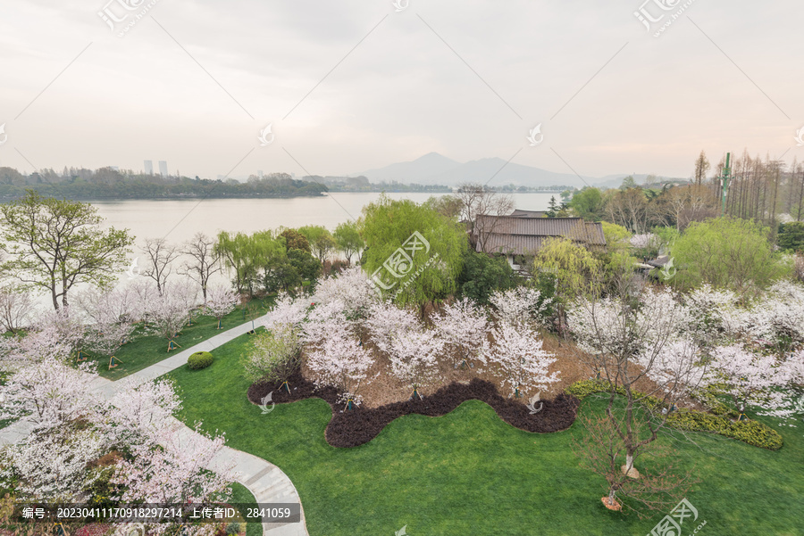 樱花季南京的玄武湖公园