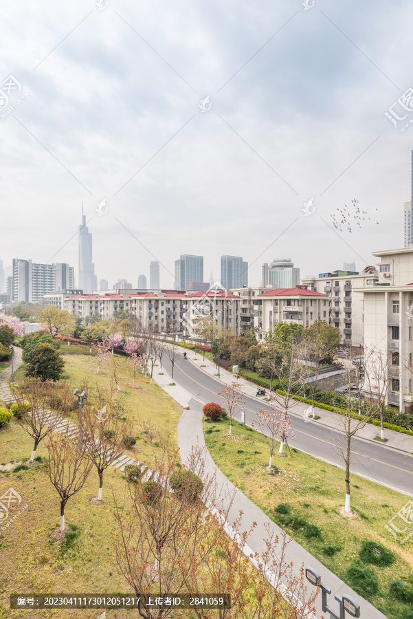 樱花季中国南京的城市风景