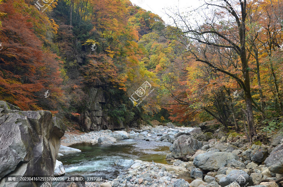 光雾山