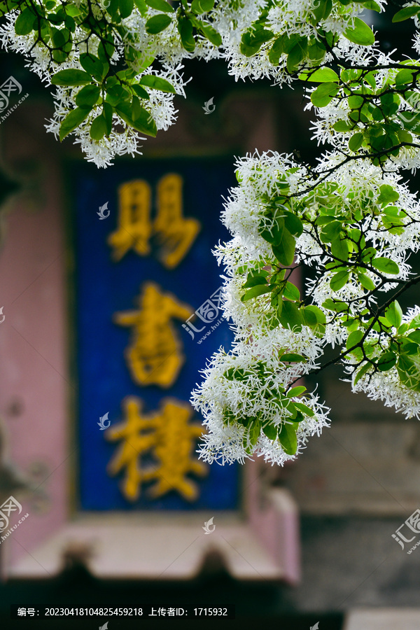 流苏邹城孟府